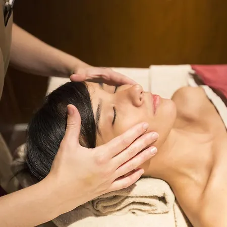 Hotel Hospes Palacio De Patos, A Member Of Design 5*